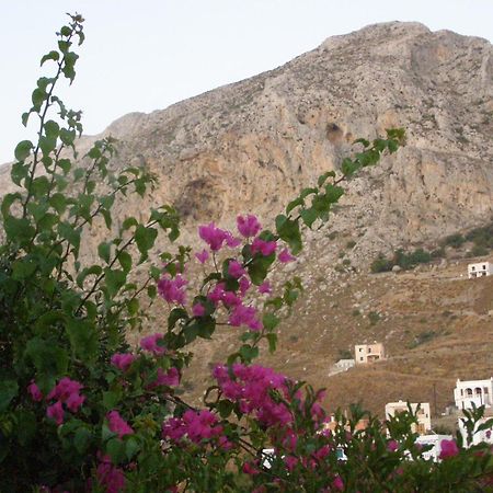 Studios Aeolos Kalymnos Myrties Esterno foto