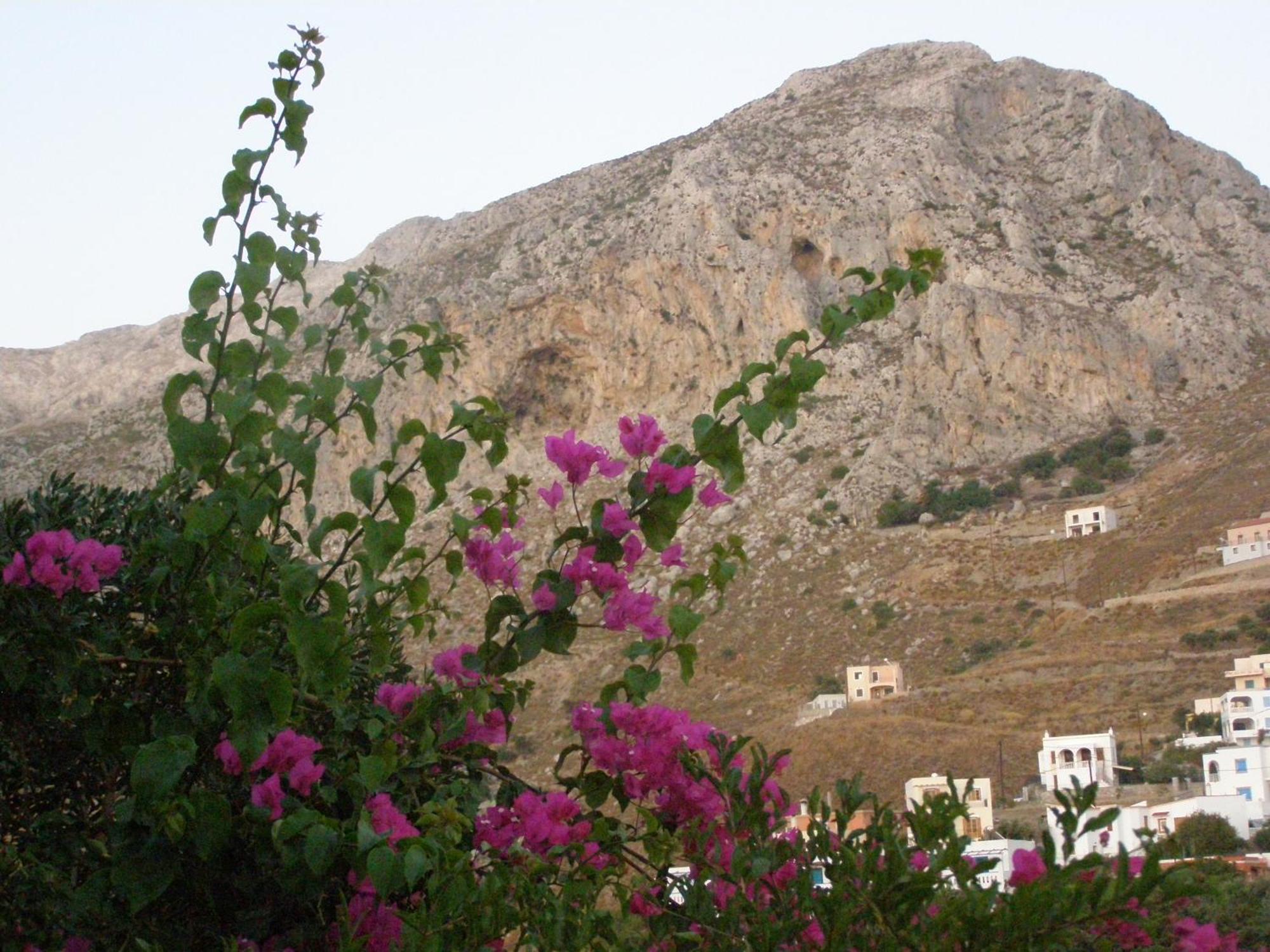 Studios Aeolos Kalymnos Myrties Esterno foto