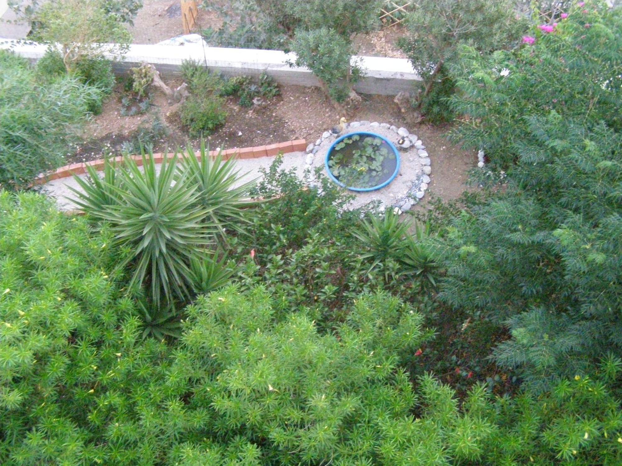 Studios Aeolos Kalymnos Myrties Esterno foto